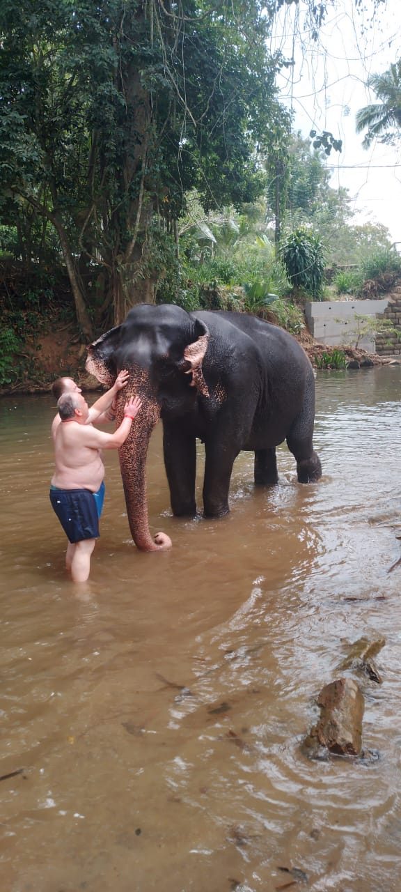 Guest washing an elephant in the river