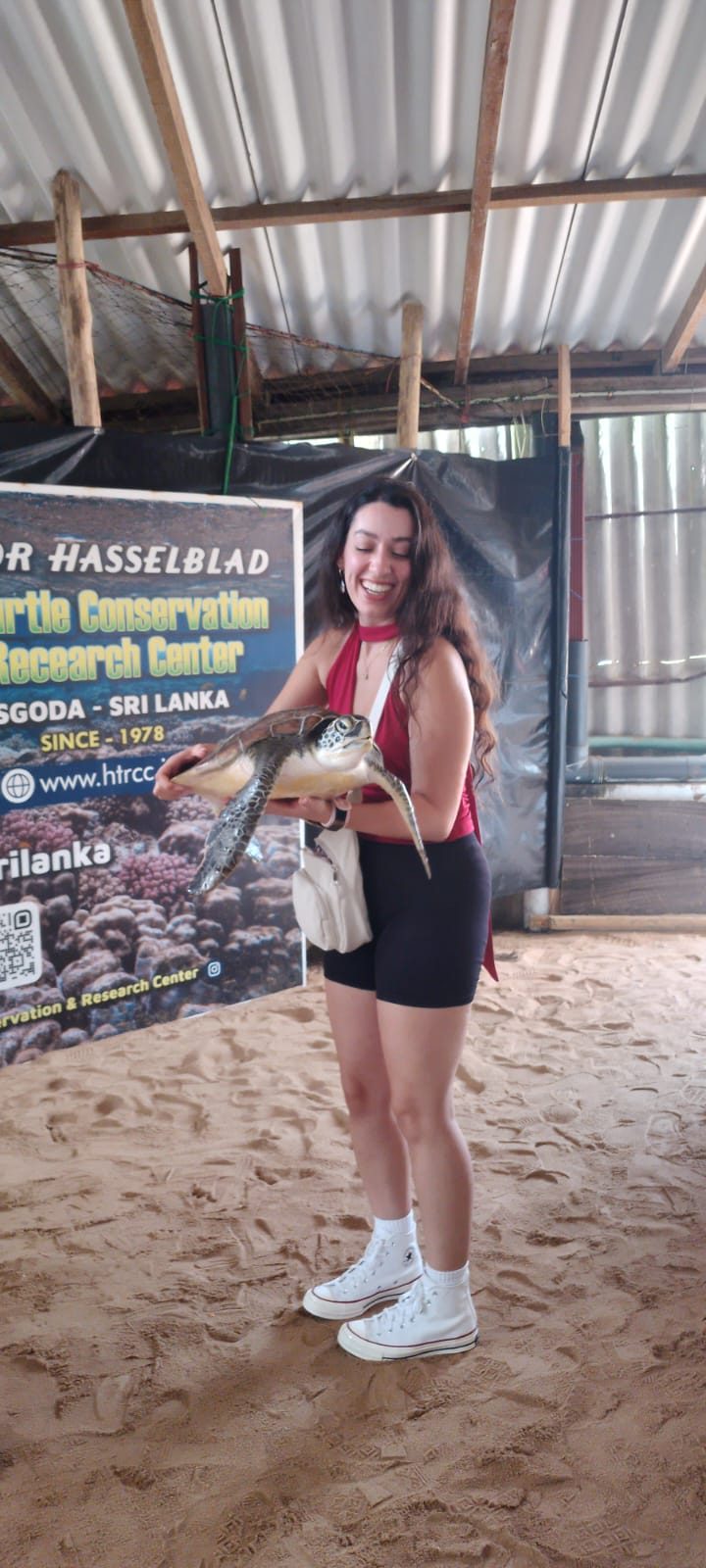 Traveller holding a sea turtle at the Kosgoda turtle conservation centre