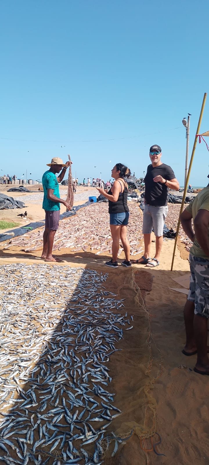 Guests at the Negombo dry fish market by the beach