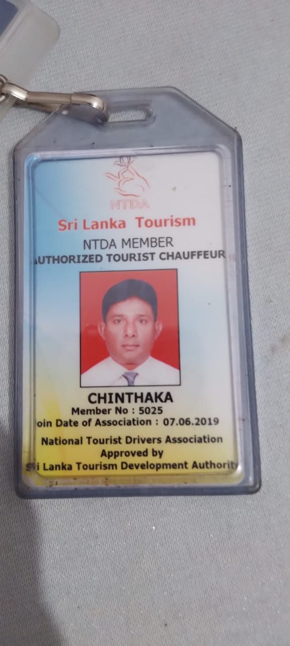 Chin's NTDA authorised tourist chauffeur licence card