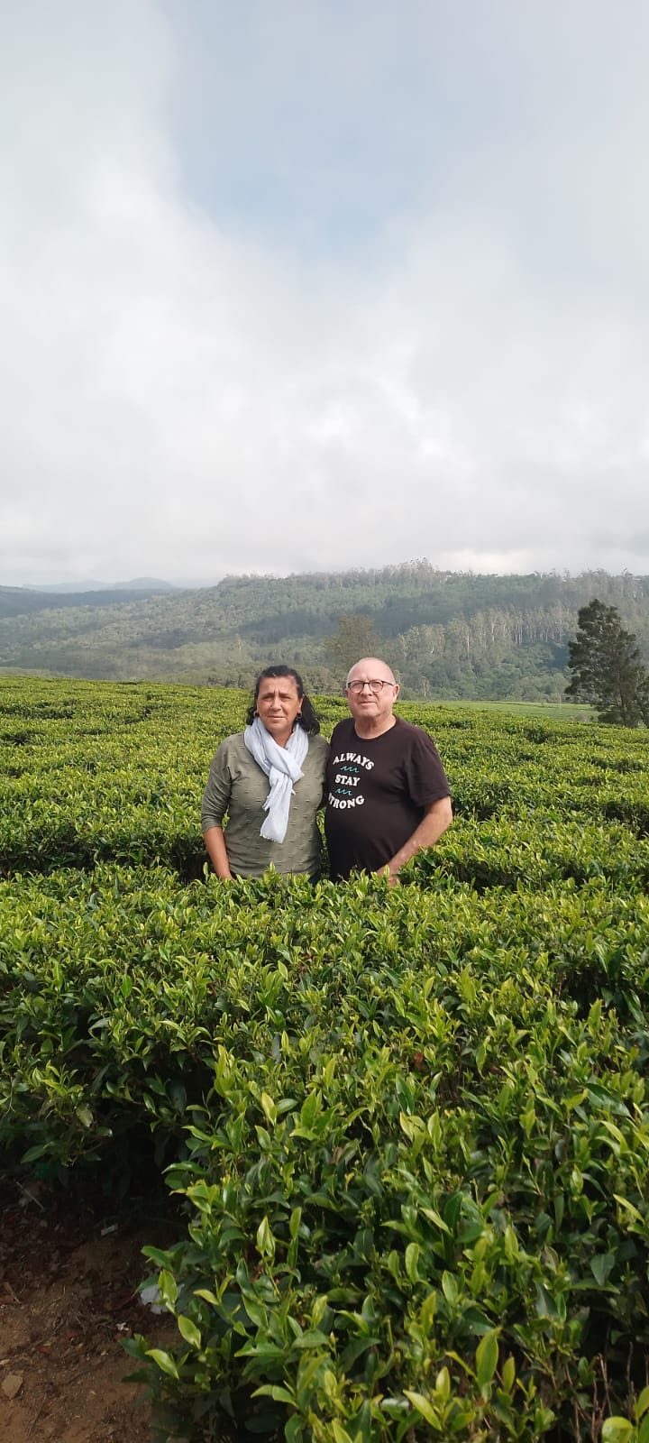 Couple standing among tea bushes in Nuwara Eliya