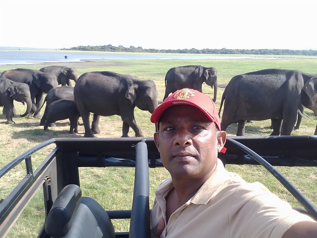 Chin on a safari jeep with a herd of wild elephants behind him